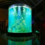 Кина цустом јефтини супер велики округли пмма стакло акваријима очистити цилиндар акрилне рибе тенкови