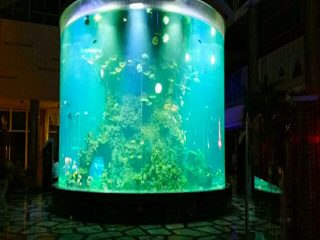 Кина цустом јефтини супер велики округли пмма стакло акваријима очистити цилиндар акрилне рибе тенкови