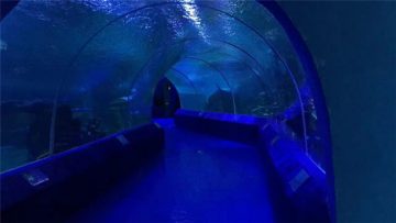 180 или 90 степени акрилних панела за тунел акваријума