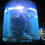 чист акрилатни цилиндар велики резервоар за рибе за акваријуме или парк океана