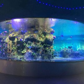 фабрички доводи рибље чаше, акваријуме акваријума за округла стакла