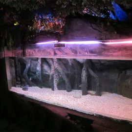 Акрилна плоча / прозор за подводно море
