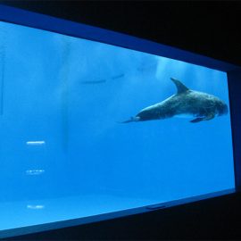 висококвалитетан велики акрилни акваријум / базен прозор подводни дебео прозори