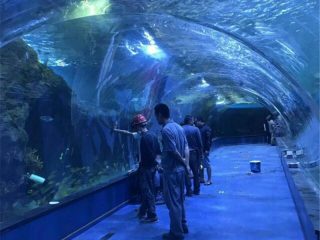 Акрилни тунел оцеанариум пројект у јавним акваријумима