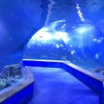 Чиста ПММА акрилни Тунел великог пластичног акваријума