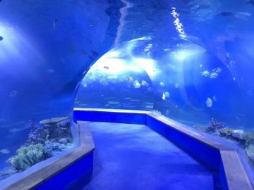 прозирно акрилно стакло Тунел акваријум